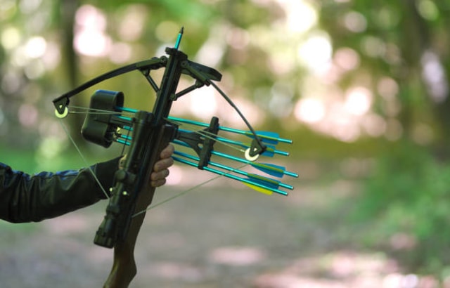 Best Crossbow Reviews