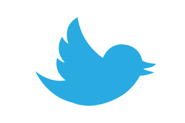 Twitter logo in blue with white background